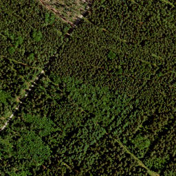 Satellite imagery of Ameisenbühl, DE