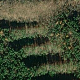 Satellite imagery of [Horní Bezděkov] GSM, CZ