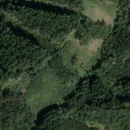 Satellite imagery of (Bezáky) [Česká Rybná u Žamberka], CZ