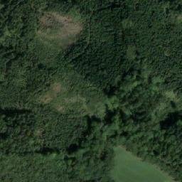 Satellite imagery of (Bezáky) [Česká Rybná u Žamberka], CZ
