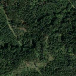 Satellite imagery of (Bezáky) [Česká Rybná u Žamberka], CZ
