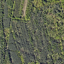 Satellite imagery of Noma Residence - Zameczek mysliwski, PL