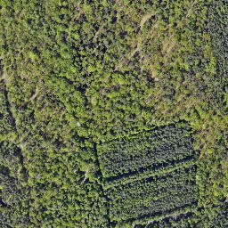 Satellite imagery of Noma Residence - Zameczek mysliwski, PL