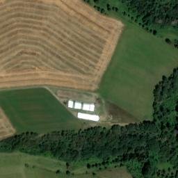 Satellite imagery of Rodenbüsch, DE