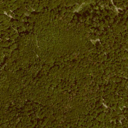 Satellite imagery of Ameisberg, DE