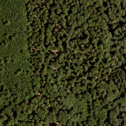 Satellite imagery of Hohe Warte, DE