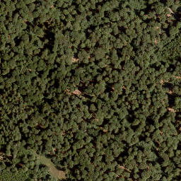Satellite imagery of Hohe Warte, DE