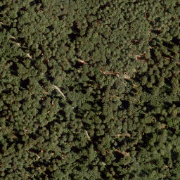 Satellite imagery of Hohe Warte, DE