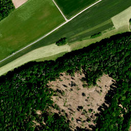 Satellite imagery of Roter Bühl, DE