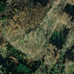 Satellite imagery of Brdce [Horní Bezděkov], CZ
