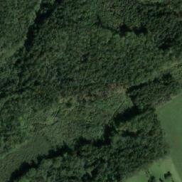 Satellite imagery of (Bezáky) [Česká Rybná u Žamberka], CZ