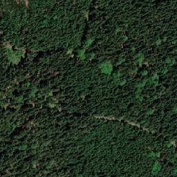Satellite imagery of (U převráceného bunkru [Těchonín]), CZ