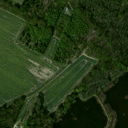 Satellite imagery of Rzuchow - Zameczek, PL