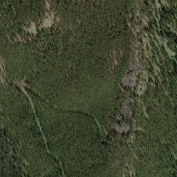 Satellite imagery of Cyclamen Ridge, CA