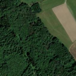 Satellite imagery of Rodenbüsch, DE