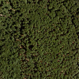 Satellite imagery of Hohe Warte, DE