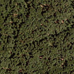 Satellite imagery of Hohe Warte, DE