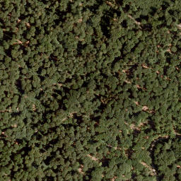 Satellite imagery of Hohe Warte, DE