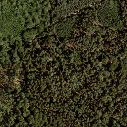 Satellite imagery of Pfaffenplatte, DE