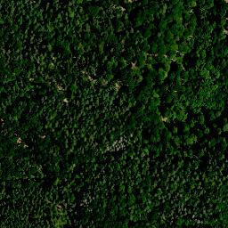 Satellite imagery of Roter Bühl, DE