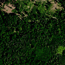 Satellite imagery of Roter Bühl, DE