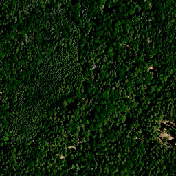 Satellite imagery of Stachel, DE