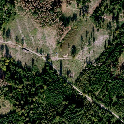 Satellite imagery of Schlockenstein, DE