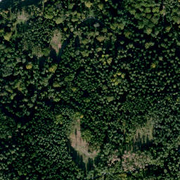 Satellite imagery of Köslarberg, DE