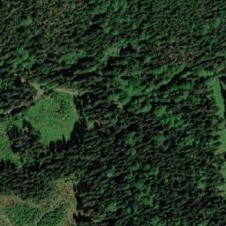 Satellite imagery of (U převráceného bunkru [Těchonín]), CZ