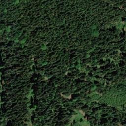 Satellite imagery of (U převráceného bunkru [Těchonín]), CZ