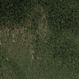 Satellite imagery of Cyclamen Ridge, CA