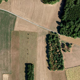 Satellite imagery of LB259, FR