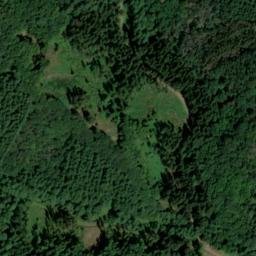 Satellite imagery of Rodenbüsch, DE