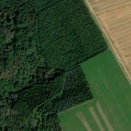Satellite imagery of Rodenbüsch, DE
