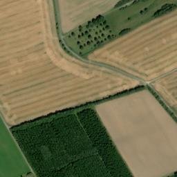 Satellite imagery of Rodenbüsch, DE