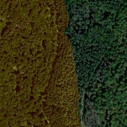 Satellite imagery of Hengstküppel, DE