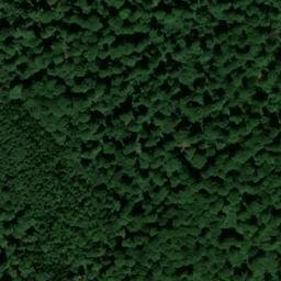 Satellite imagery of survey_point, FR