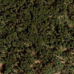Satellite imagery of Gaulskopf, DE