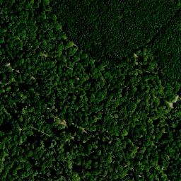 Satellite imagery of Steinberg, DE