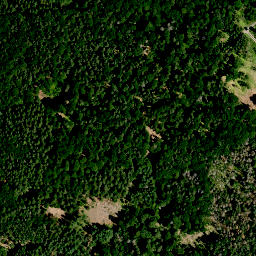Satellite imagery of Bühl (Haßwald), DE
