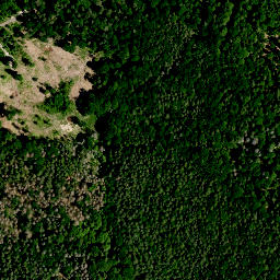 Satellite imagery of Bühl (Haßwald), DE