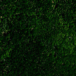 Satellite imagery of Stachel, DE