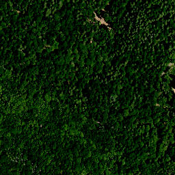 Satellite imagery of Stachel, DE