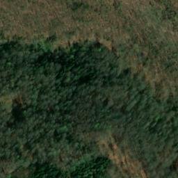 Satellite imagery of Bittmannstein, DE