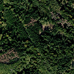 Satellite imagery of Schlockenstein, DE