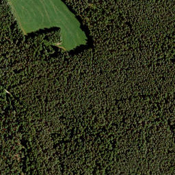 Satellite imagery of Rosenbühl, DE