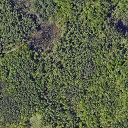 Satellite imagery of 688/682, PL