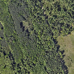 Satellite imagery of 688/682, PL