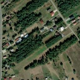 Satelita