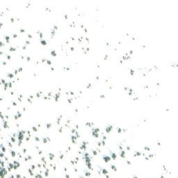 Satellite imagery of Overlook Mountain, CA
